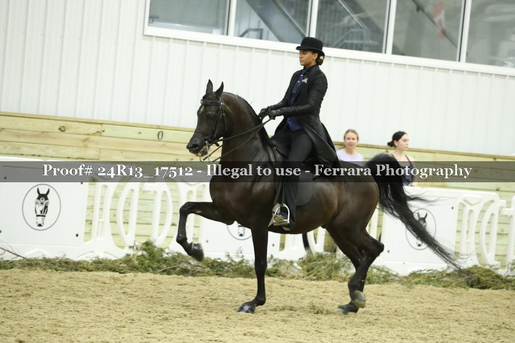 Proof 24R13_17512