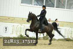 24R13_17512 proof