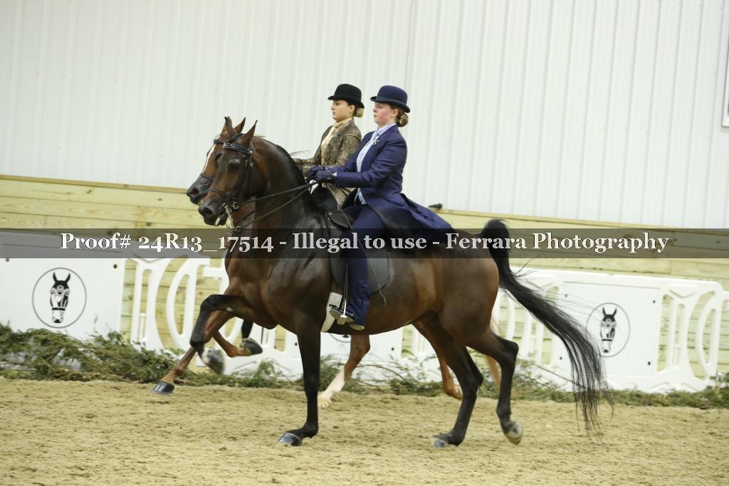 Proof 24R13_17514