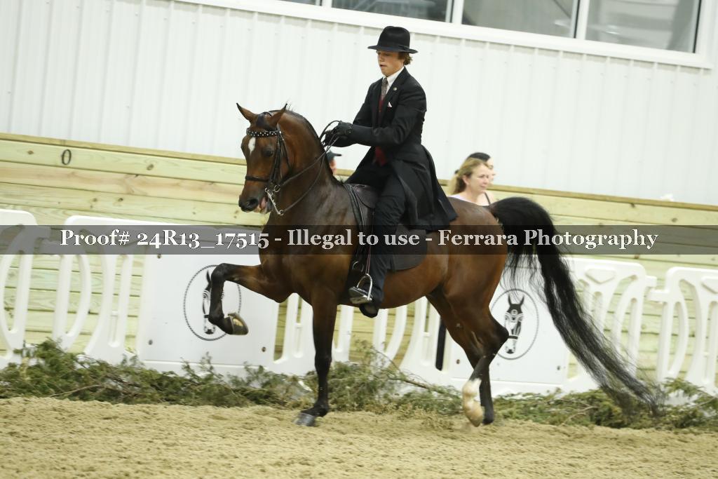 Proof 24R13_17515