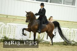 24R13_17515 proof