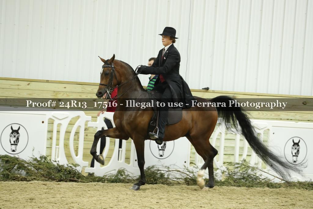 Proof 24R13_17516