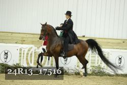 24R13_17516 proof