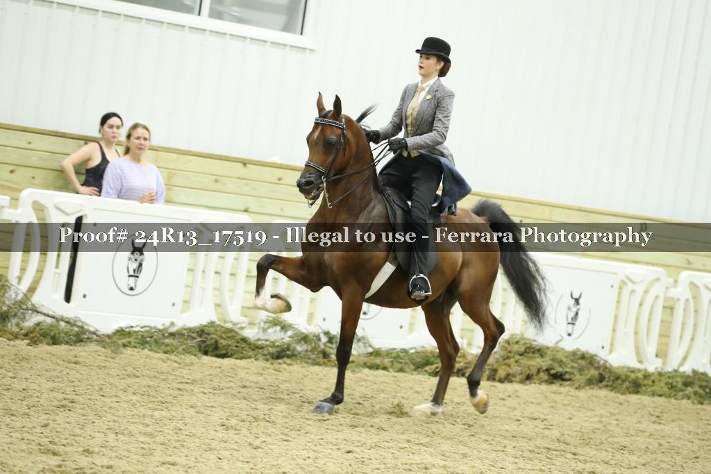 Proof 24R13_17519