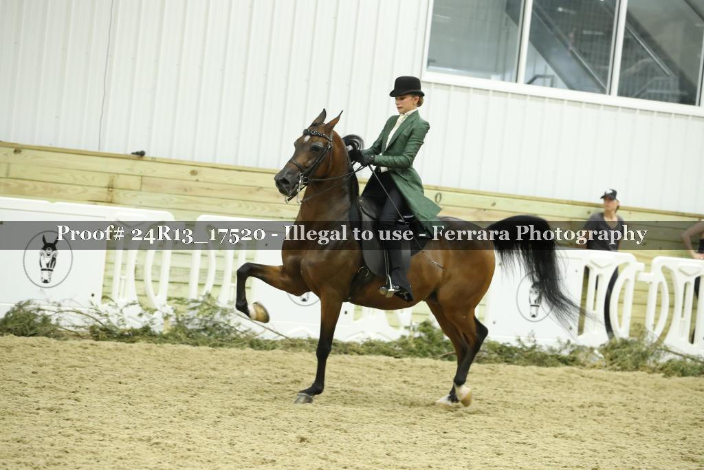 Proof 24R13_17520