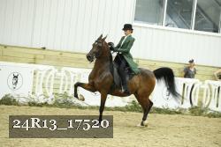 24R13_17520 proof