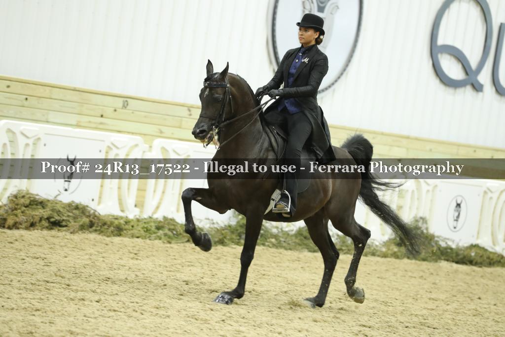 Proof 24R13_17522