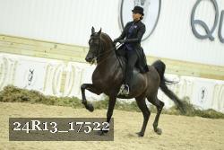 24R13_17522 proof