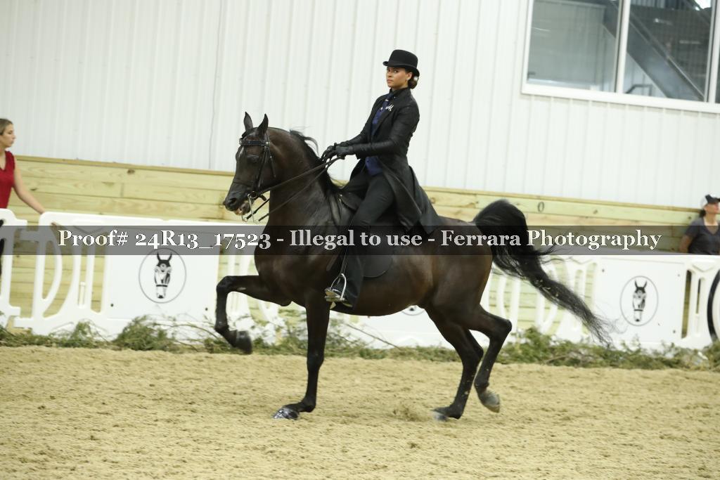 Proof 24R13_17523