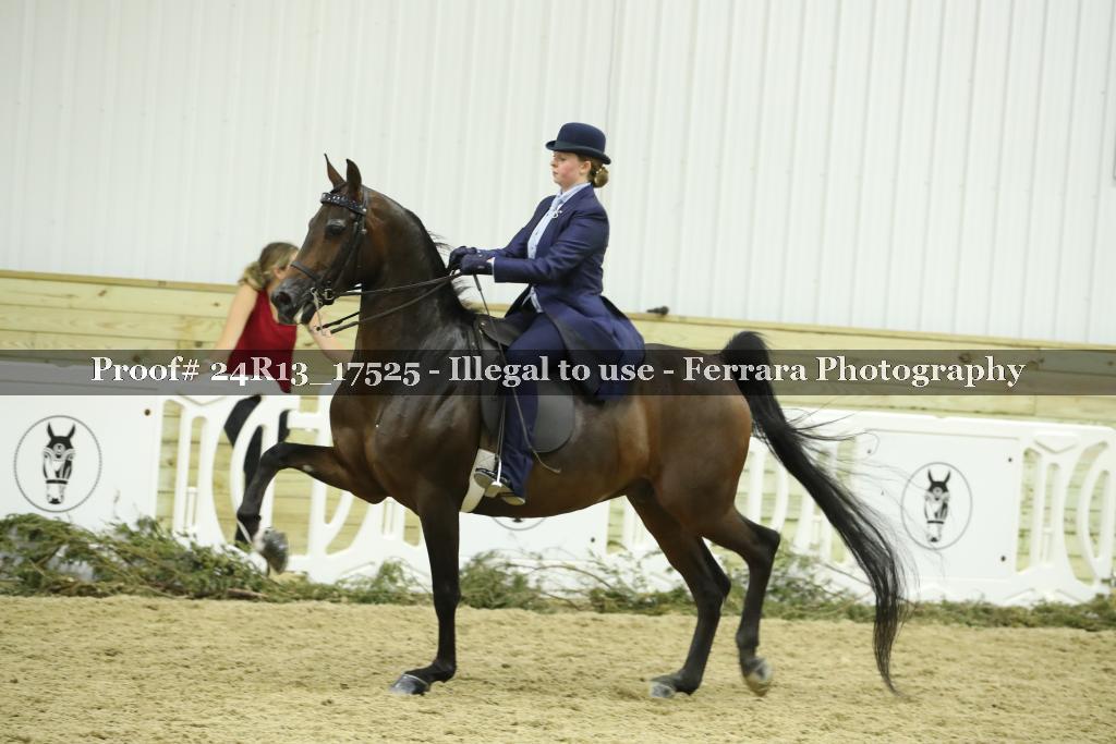 Proof 24R13_17525