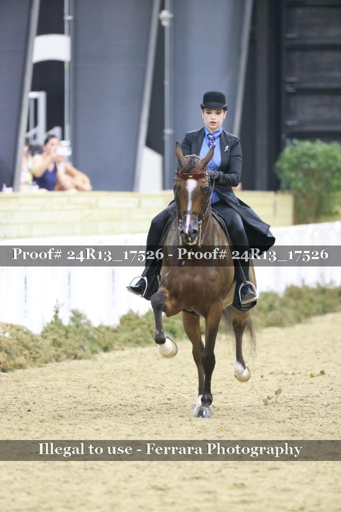 Proof 24R13_17526