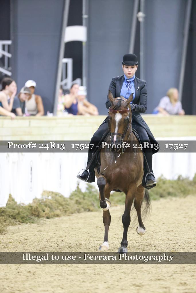 Proof 24R13_17527