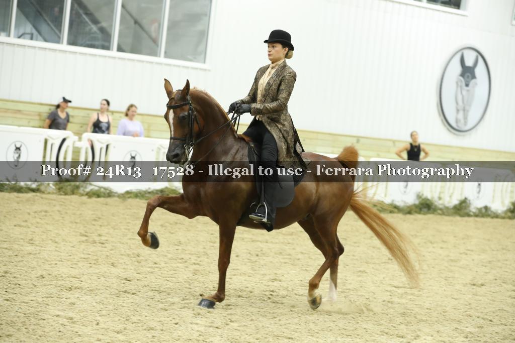 Proof 24R13_17528