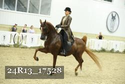 24R13_17528 proof