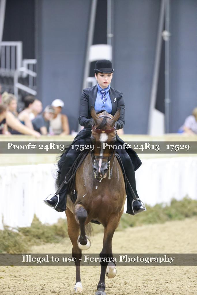 Proof 24R13_17529