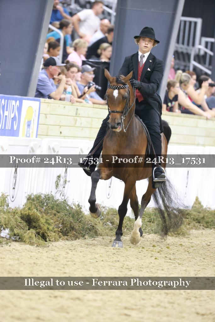 Proof 24R13_17531