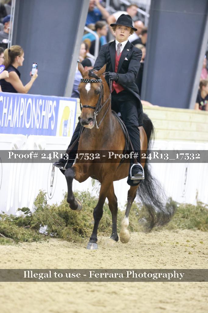Proof 24R13_17532