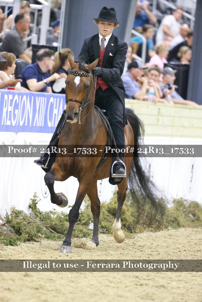 Proof 24R13_17533