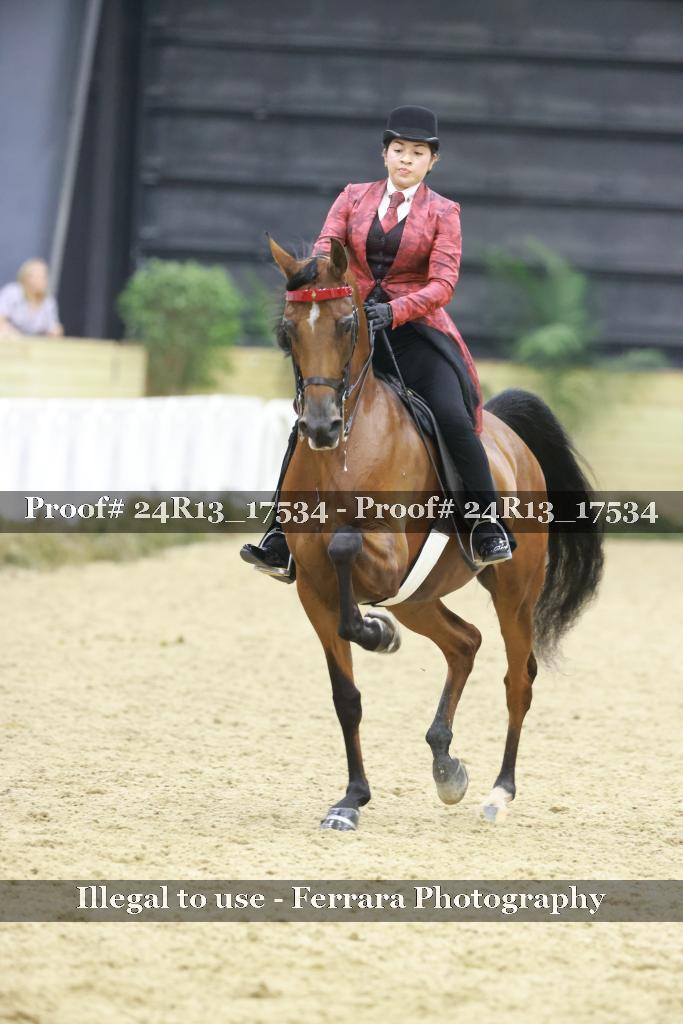 Proof 24R13_17534