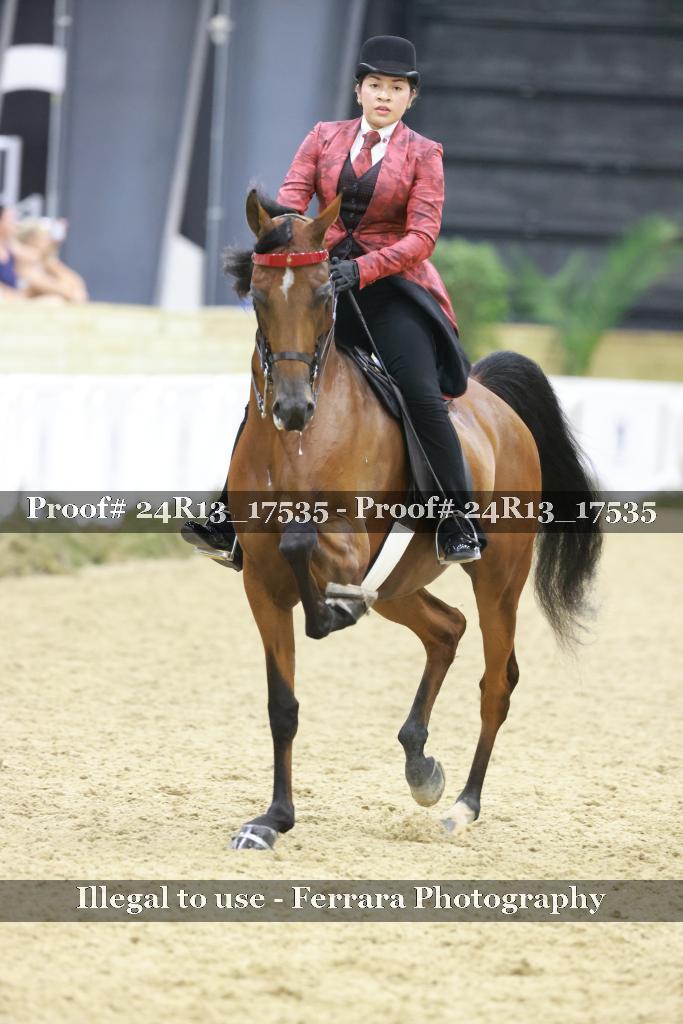 Proof 24R13_17535