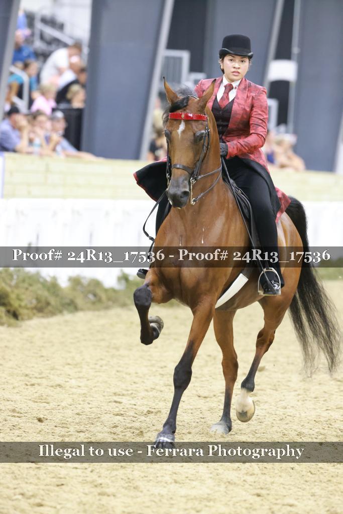 Proof 24R13_17536