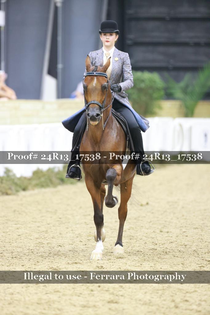 Proof 24R13_17538