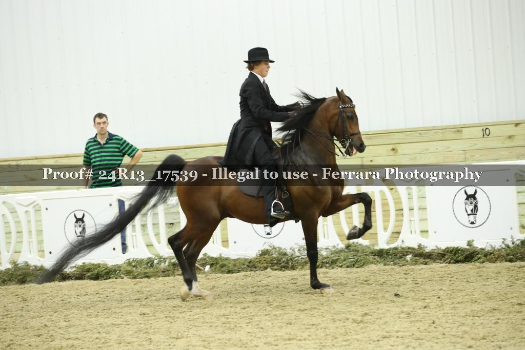 Proof 24R13_17539