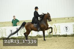 24R13_17539 proof