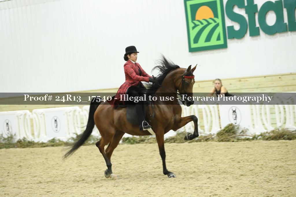 Proof 24R13_17540