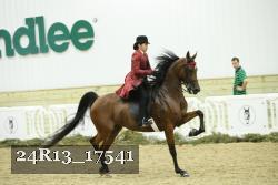 24R13_17541 proof
