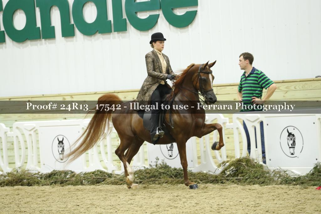Proof 24R13_17542