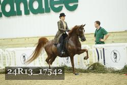 24R13_17542 proof