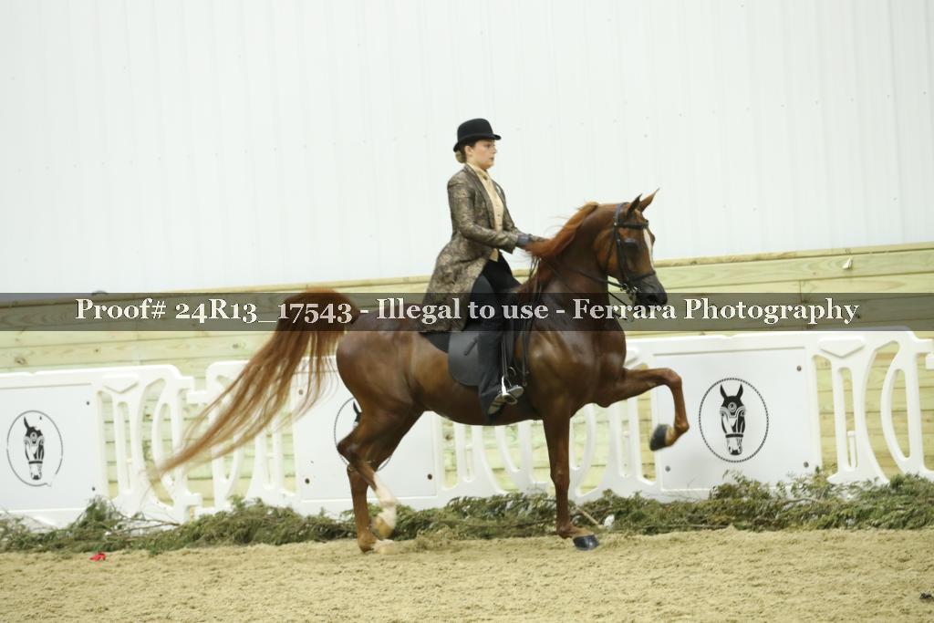 Proof 24R13_17543