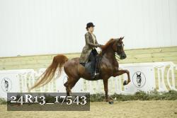 24R13_17543 proof
