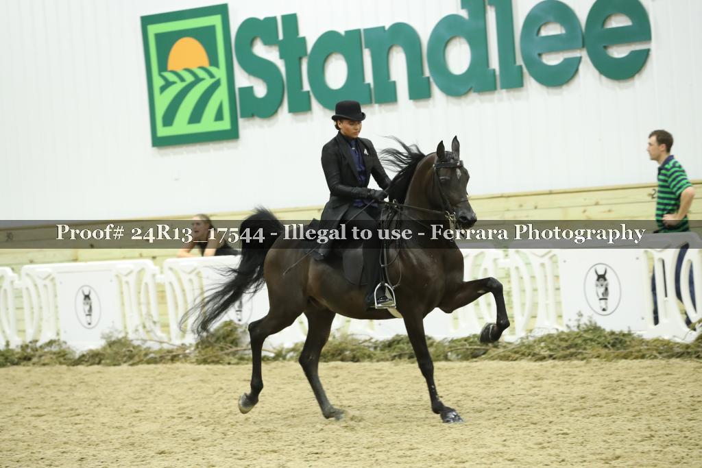 Proof 24R13_17544