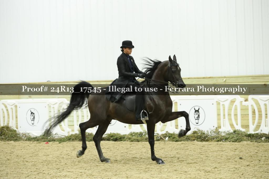 Proof 24R13_17545