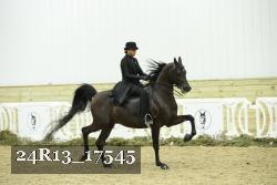 24R13_17545 proof