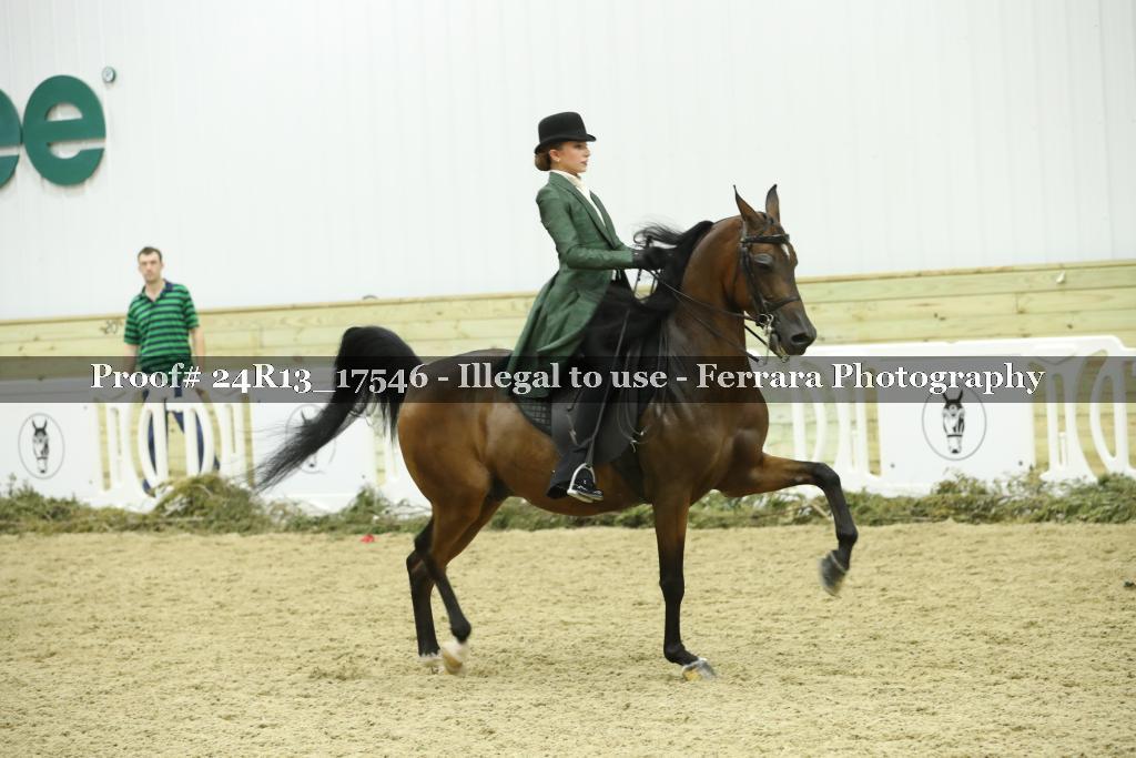 Proof 24R13_17546