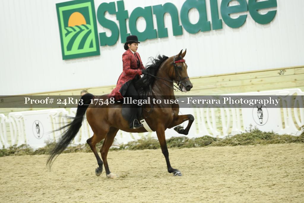 Proof 24R13_17548