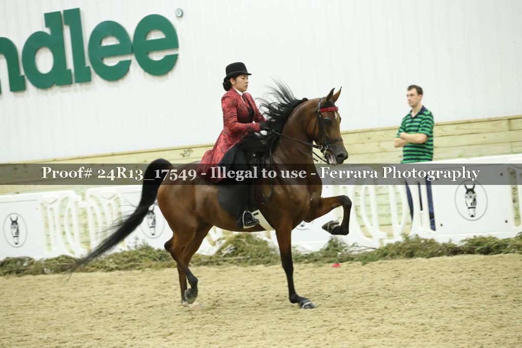Proof 24R13_17549