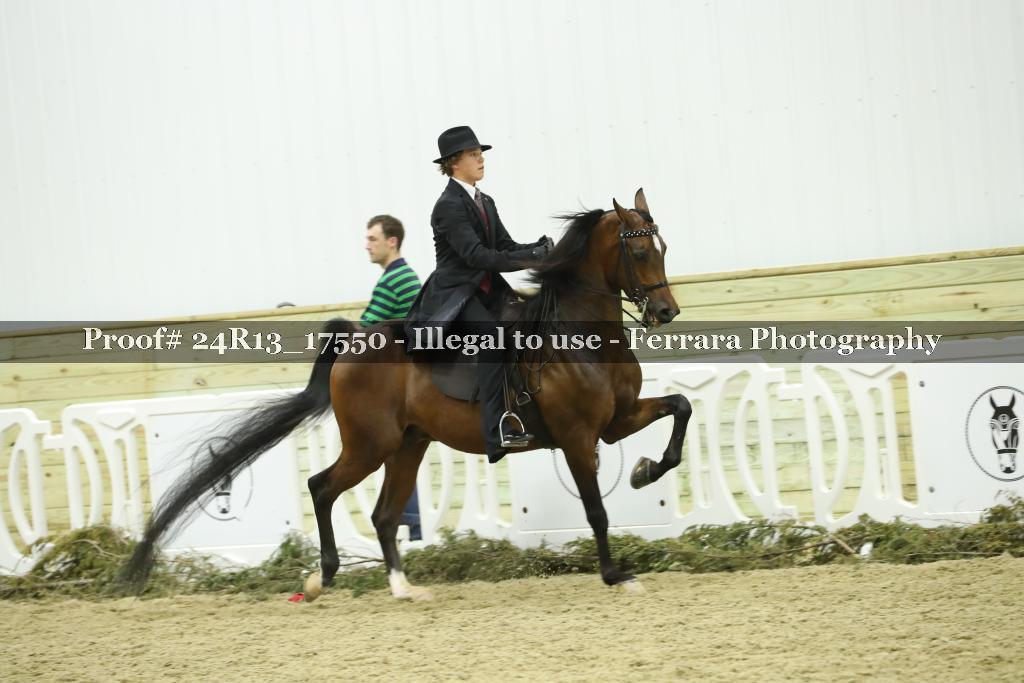 Proof 24R13_17550