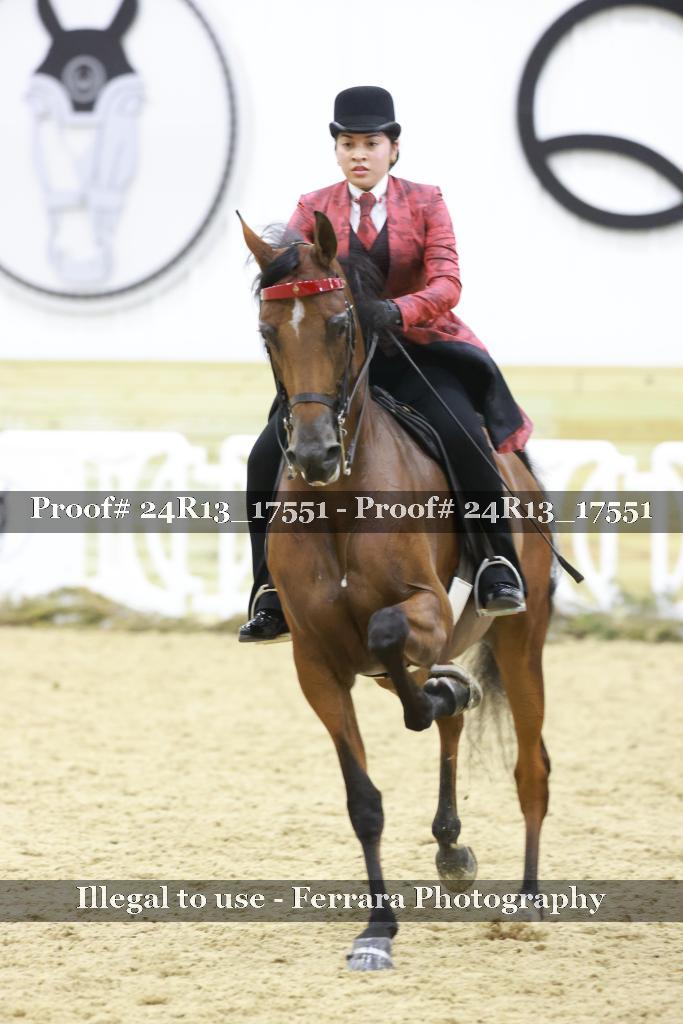 Proof 24R13_17551