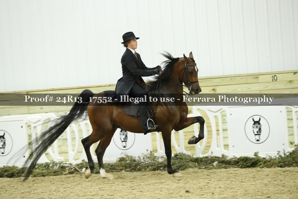Proof 24R13_17552