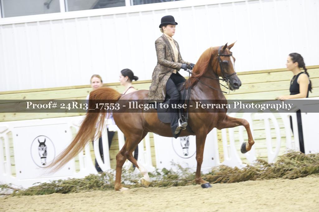 Proof 24R13_17553