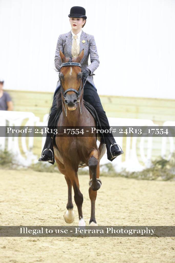 Proof 24R13_17554