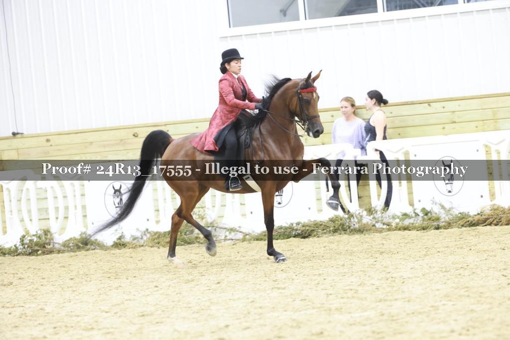 Proof 24R13_17555