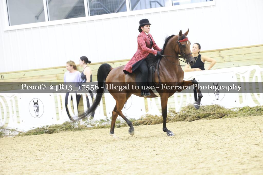 Proof 24R13_17556