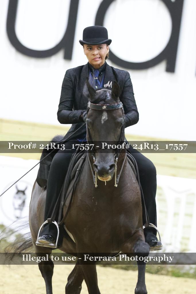 Proof 24R13_17557