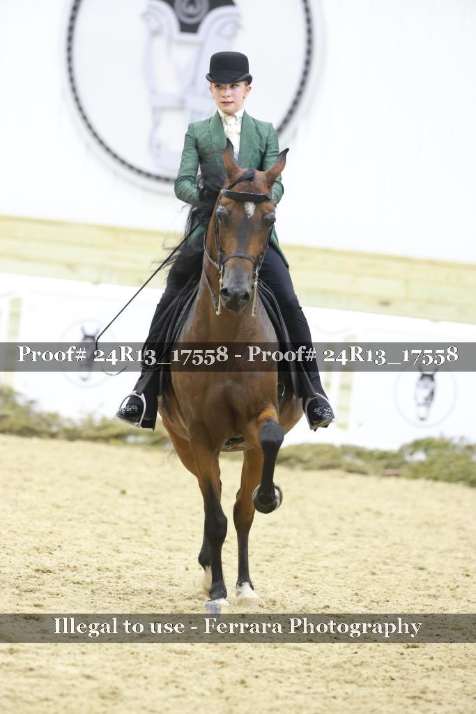 Proof 24R13_17558