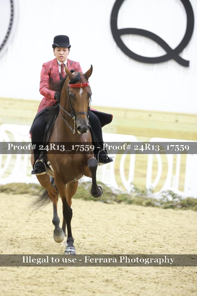 Proof 24R13_17559